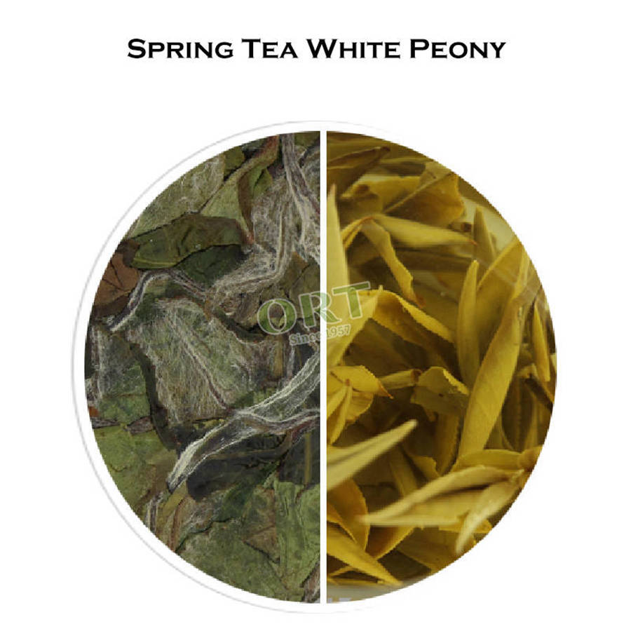 Bai Mu Dan White Peony Tea-