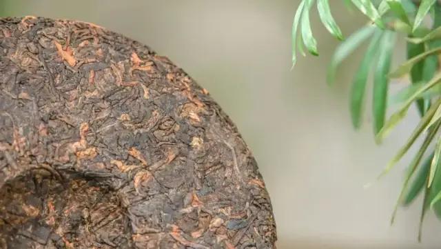 Should we throw away the first time infusion of Pu-erh Tea ?-