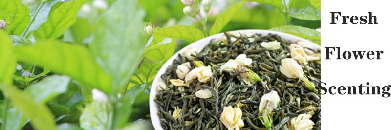 White Hair Monkey Bai Mao Hou Jasmine Tea-