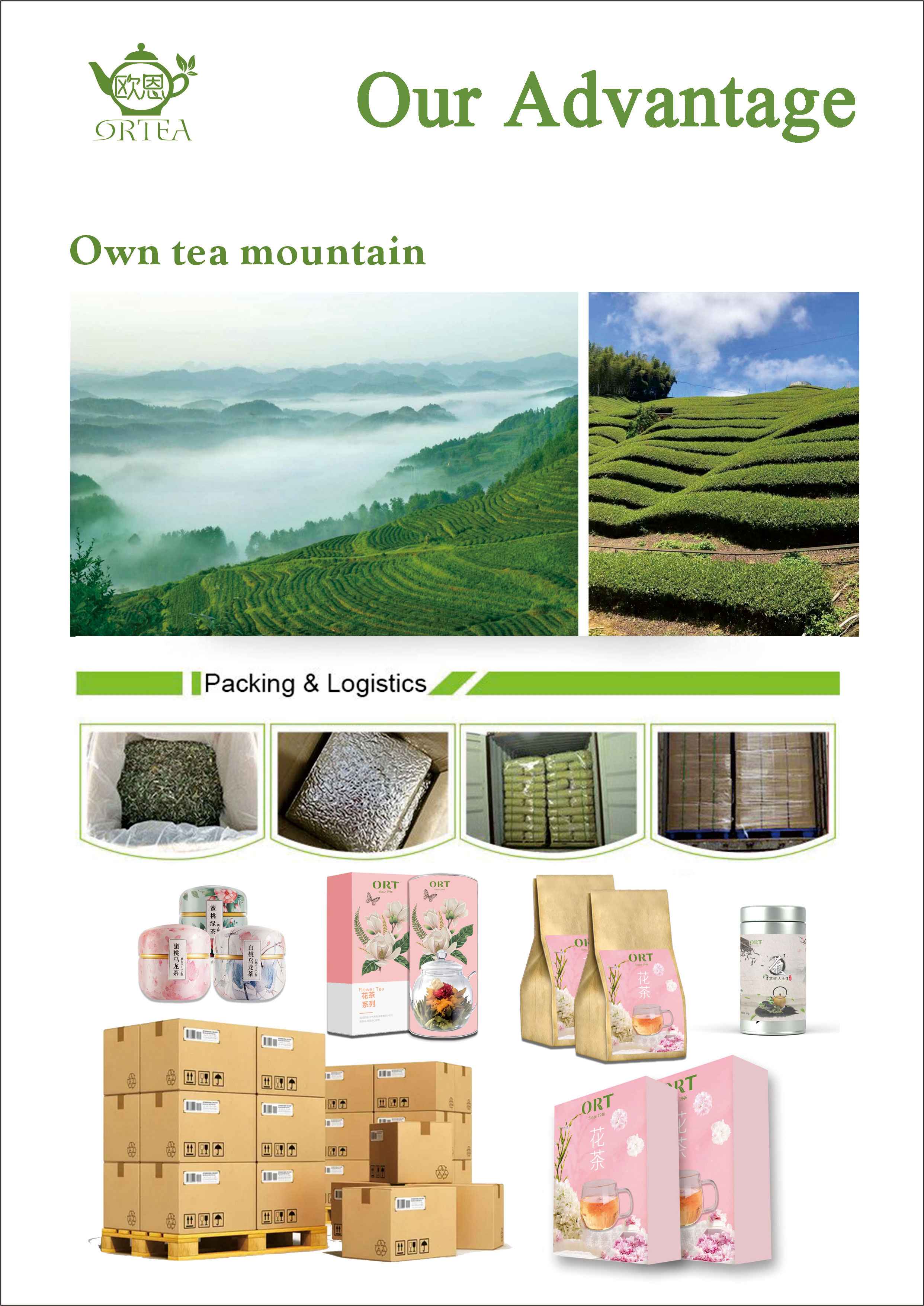Green Dancong New Craft Oolong Tea-