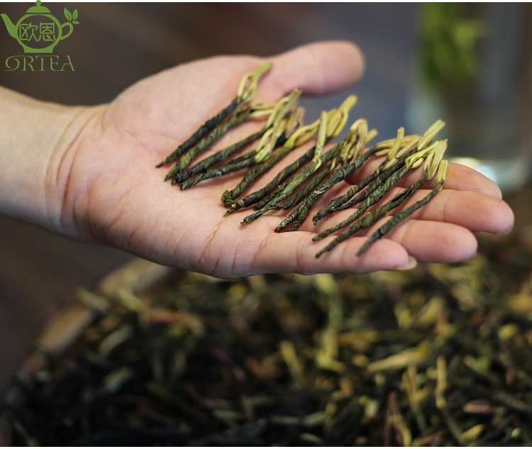 Premium Hainan White Tips Kuding Tea-