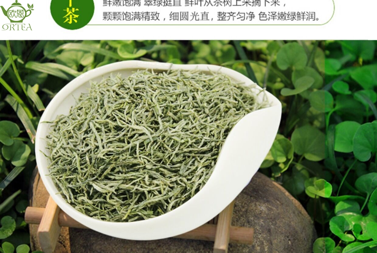 White Snow Xinyang Maojian Green Tea-