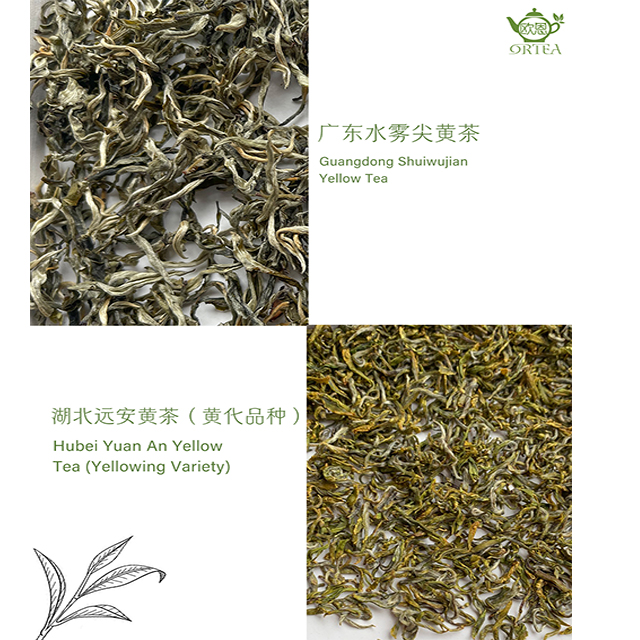 China Yellow Tea-