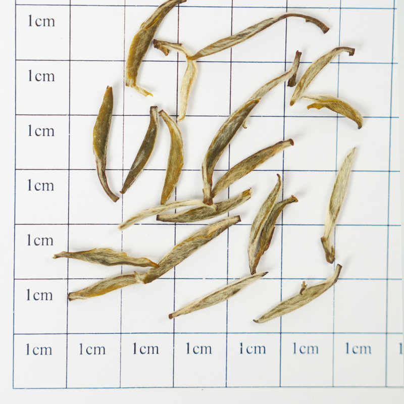 Gold Medal Alpine Jasmine – Handcrafted by Intangible Cultural Heritage Masters, 6 Scents of Organic Silver Needle King | Moonlight Jasmine and Honey Essence | Award-Winning Loose Leaf Collection