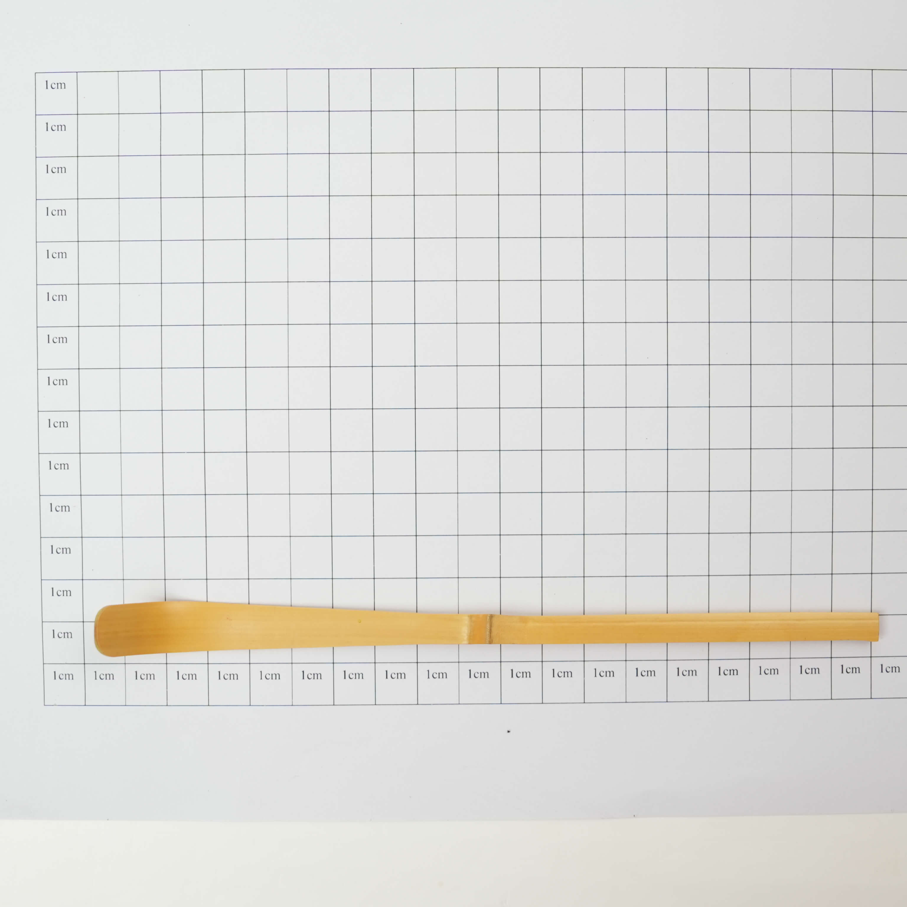 Bamboo Matcha Scoop: Handcrafted & Natural Tea Ritual